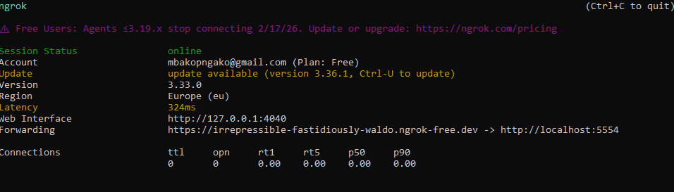 Activer le tunnel ngrok
