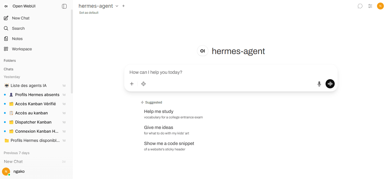 Interface Open WebUI